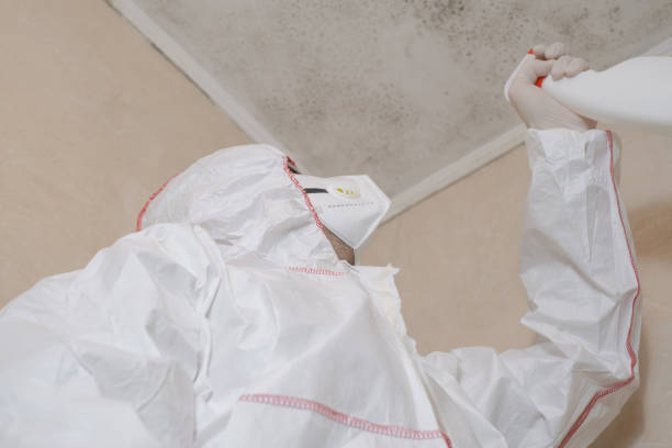 Best Mold Testing  in Punaluu, HI